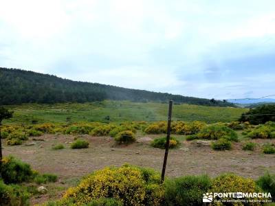 Cerro Perdiguera-Sierra Morcuera-Canencia; viajes organizados desde madrid;senderismo doñana